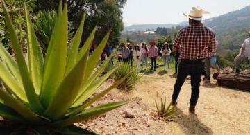 25 mil empresas del sector turismo atenderán a los visitantes de la Copa del Mundo en el Edomex