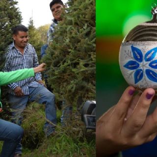 Xonacatlán, el lugar de Edomex para comprar árboles naturales, esferas y artesanías de Navidad