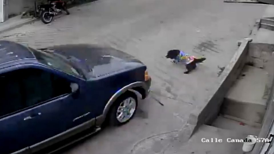 Un VIDEO captó el momento en el que un perrito fue atropellado a propósito por una camioneta en Naucalpan.