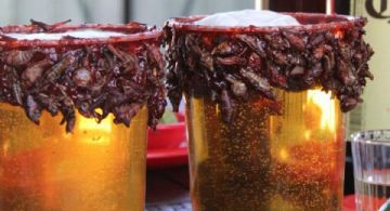 Chapuchelas: El único lugar en EDOMEX para probar cervezas con escarchado de chapulines