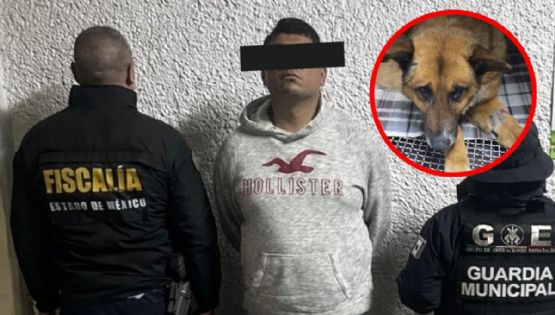 Fiscalía del EDOMEX detiene a sujeto que arrojó al perrito “Lobito” de unas escaleras en Naucalpan