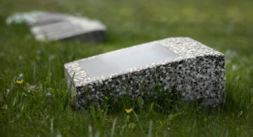 ¿Adiós a los entierros tradicionales? Edomex analiza panteones ecológicos