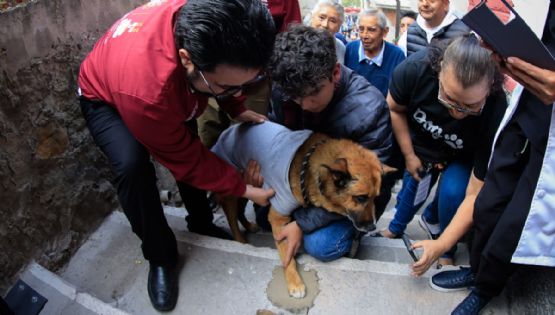 Naucalpan rehabilita 'El Callejón de Lobito', recordatorio del rechazo al maltrato animal
