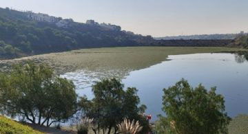 Municipios del Valle de México deben aprovechar sus presas como fuentes propias de agua: OCAVM