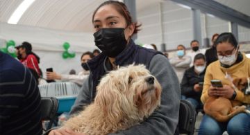 Inicia la Semana Nacional de Vacunación Antirrábica 2026 en EDOMEX: ¿Cómo ubicar los módulos para llevar a perros y gatos?