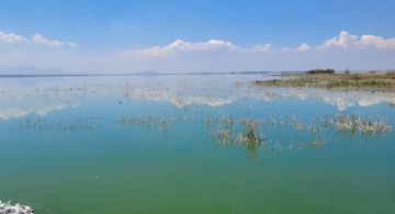 Vacaciones en EDOMEX: ¿Qué hacer y cómo llegar al Parque Ecológico Lago de Texcoco?