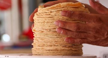 ¿El precio de la tortilla subirá a partir del 15 de abril en EDOMEX? La presidenta Sheinbaum rechaza aumento