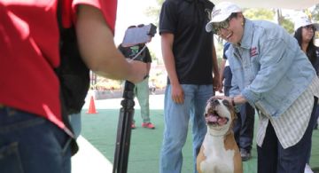 Jornada de Bienestar Animal en Ecatepec cierra con mil 200 esterilizaciones y seis solicitudes de adopción