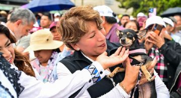 Nueva ley de Bienestar Animal EDOMEX: Multas, registro obligatorio de mascotas y más que debes saber