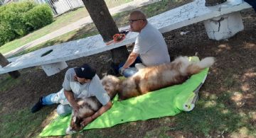 Construirán el primer hospital veterinario público en Cuautitlán México