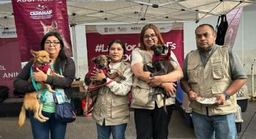 “La Mejor Jugada es Adoptar” se suma a la justa mundialista; dale un hogar a un lomito o michi durante el partido de México vs. Serbia