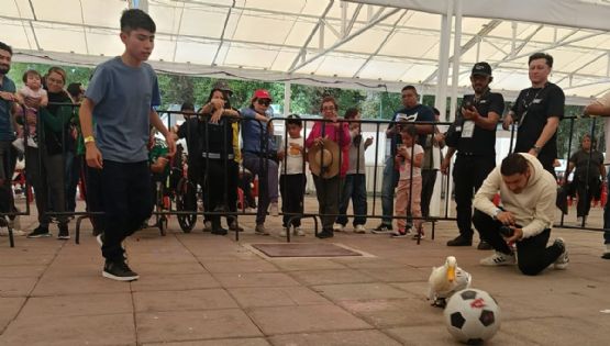 Merlín, el pato mundialista viral, llegó al Parque Naucalli durante el Gol Fest en Naucalpan
