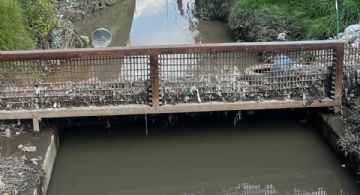 Realizan desazolve para prevenir inundaciones en inmediaciones del Río Lerma